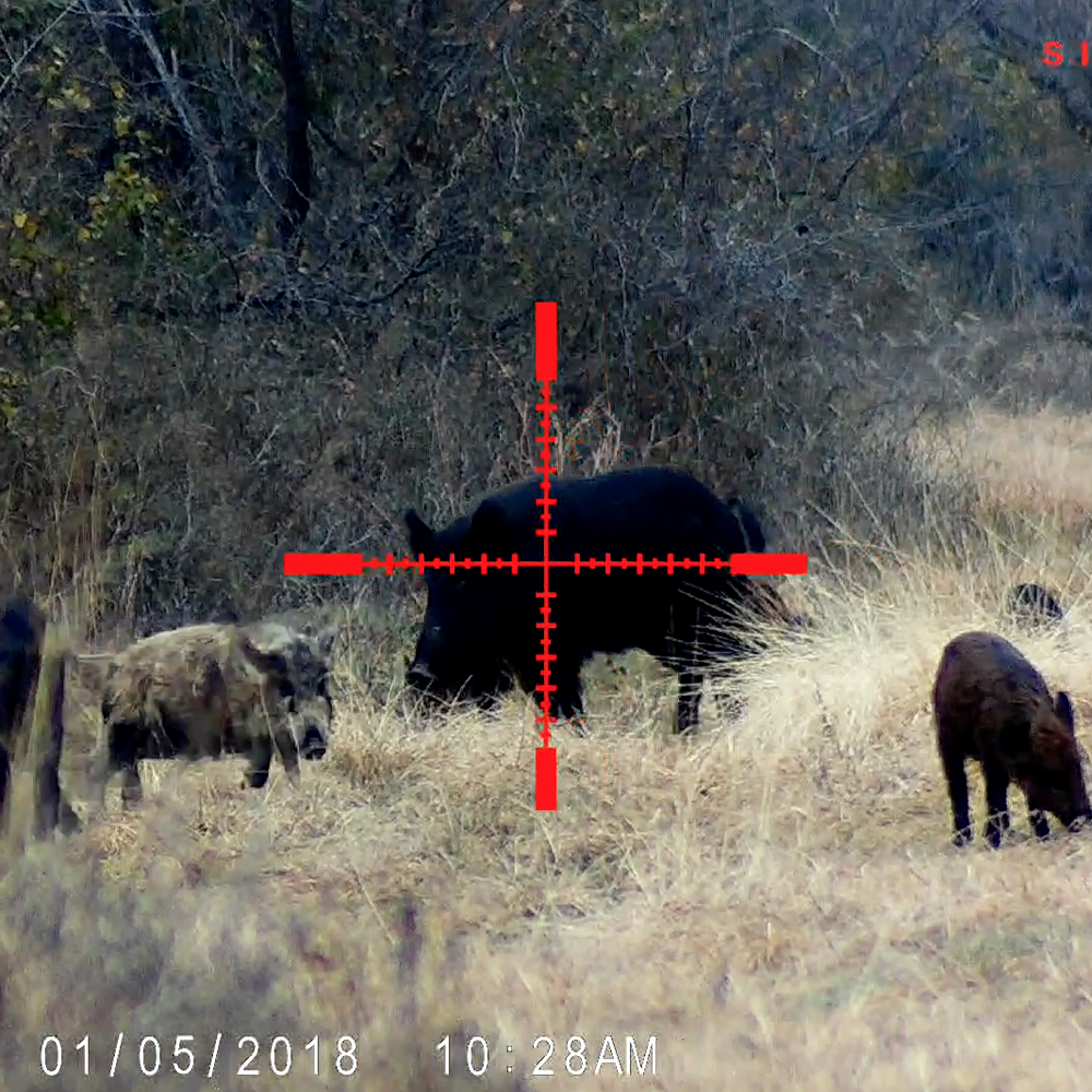 Sightmark Wraith Digital Rifle Scope for Sale Night Vision Guys