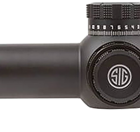 169363_xl.png