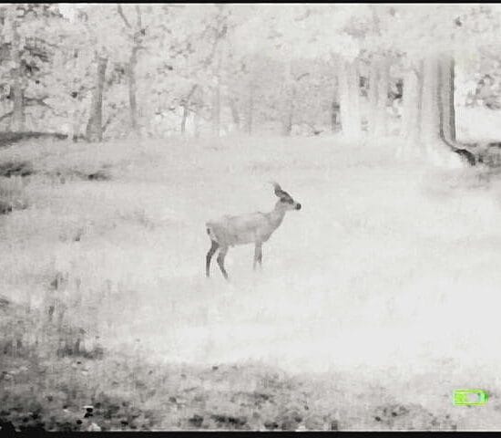 679.jpg