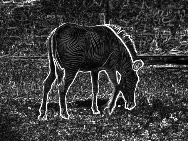 atlas_view_of_zebra_in_outline_1.jpg