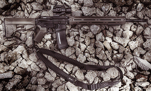 ff46000_img_gun3_500.jpg