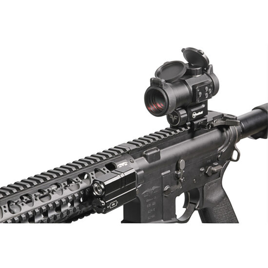 ff73012_img_gun_1000.jpg
