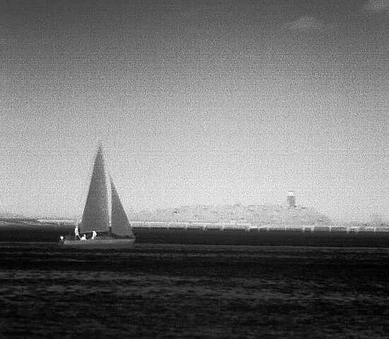 image6.jpg