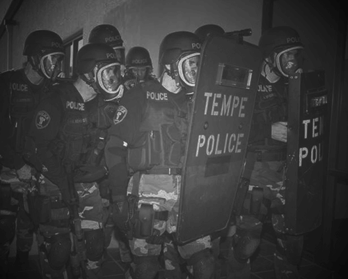 nvg7-2_photo.png