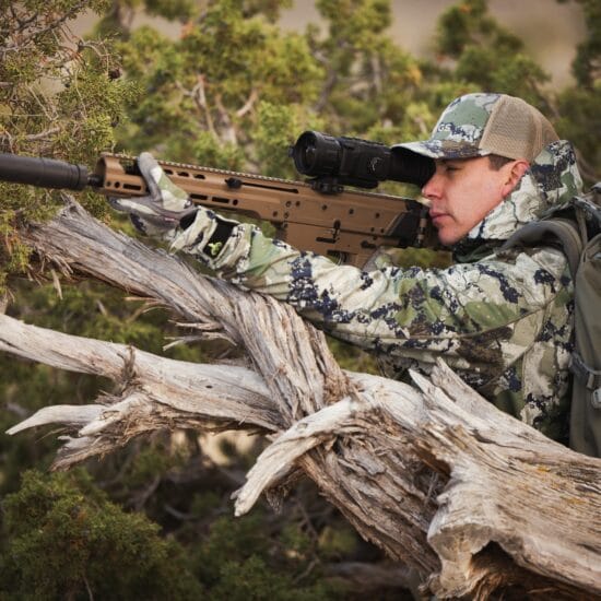 rattlerv3_50-640_-_5.jpg