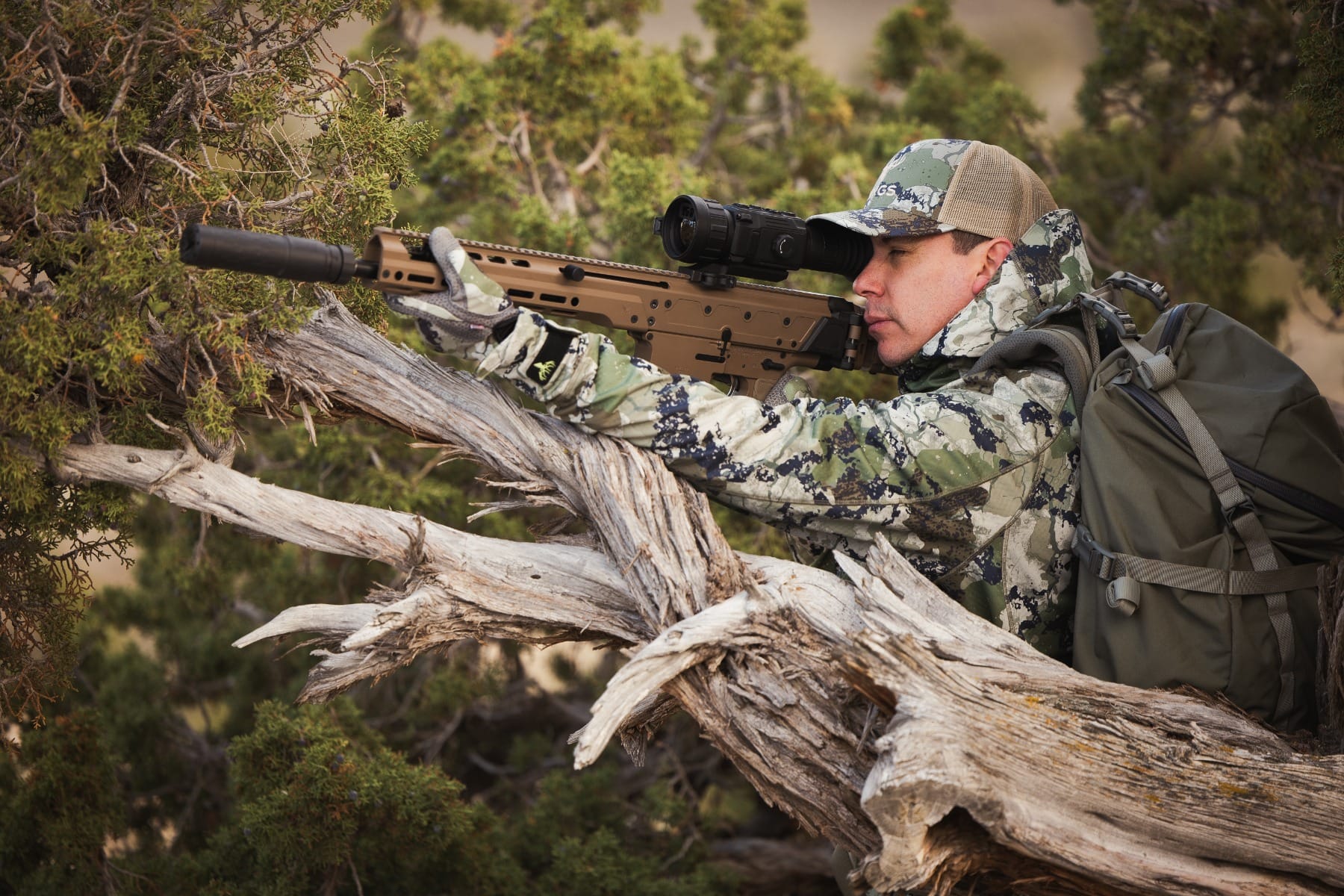 rattlerv3_50-640_-_5.jpg