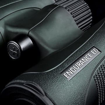 texture-green_4.jpg