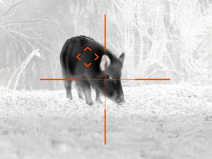 Wild boar in a snowy, forested clearing with orange targeting reticle overlaid, suggesting focus or aiming at the animal.