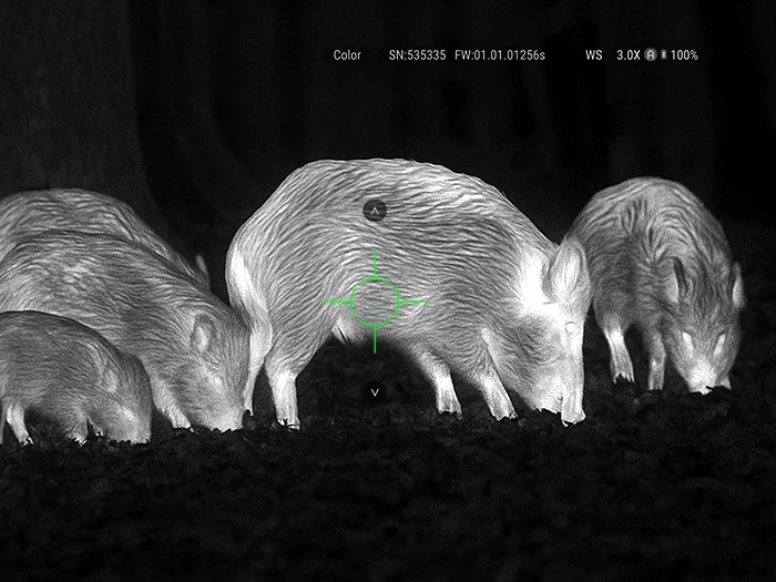 Night-vision image of four wild boars foraging on dark ground, with a green crosshair overlay at the center animal.