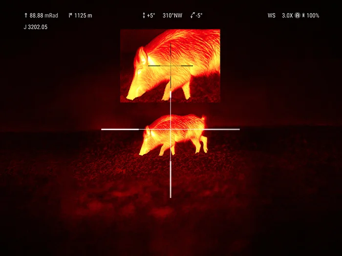 Thermal image of two pigs in a dark field, red heat signatures with crosshair aiming at the animals.